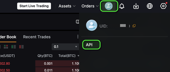 Bybit demo profile menu with the API link
